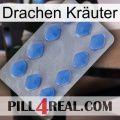 Drachen Kräuter 21